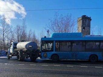 Фото: «Жесть по-Архангельски»/Кристина Солина.