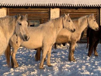 Фото: УМВД. 