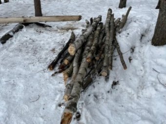 Фото: пресс-служба администрации Северодвинска. 
