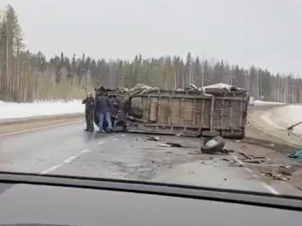 Кадры из видео Андрея Аннина.