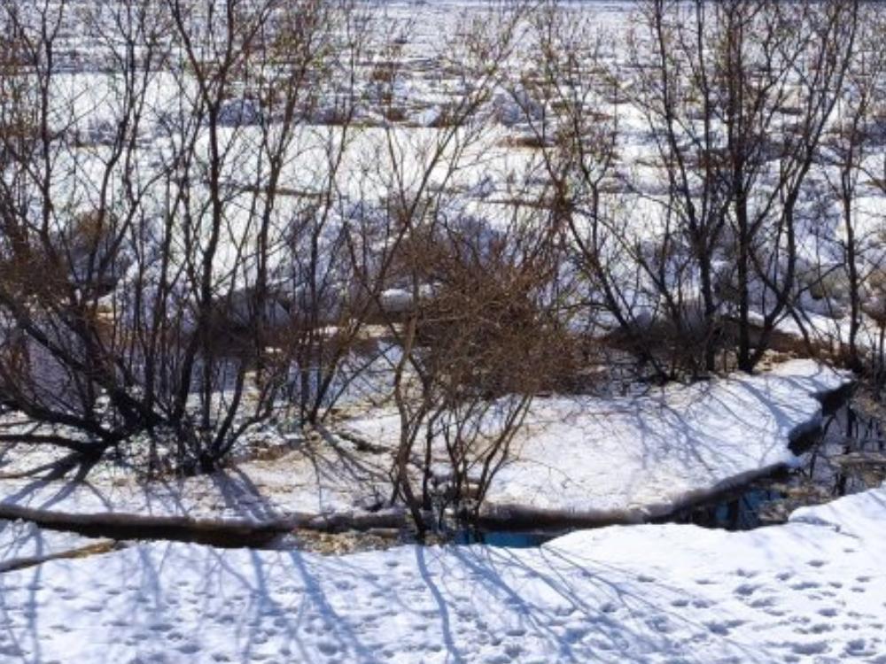 Севгидромет ледоход. Ледоход на реке. Затор на реке. Лед на реке. Ледоход в Архангельске.