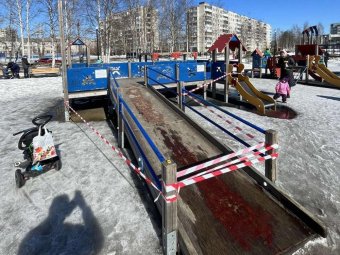 Все фото: пресс-служба администрации Архангельска. 